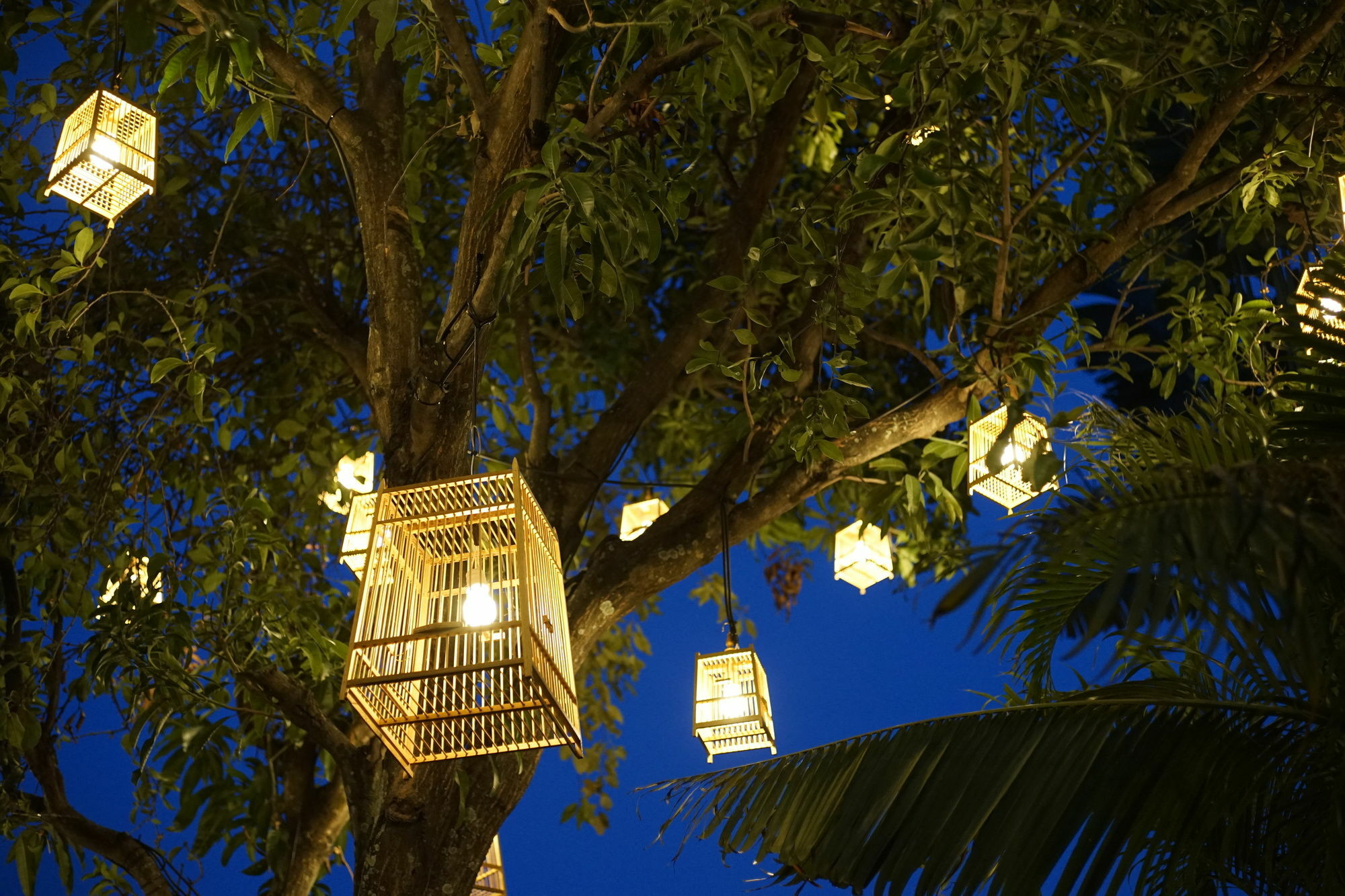 Private Pool Villa 88 Nimman Chiang Mai Ngoại thất bức ảnh